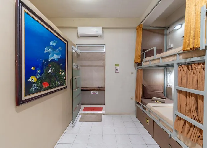 Aru House Hostal *
