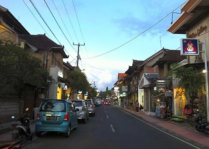 Hostal Aru House *